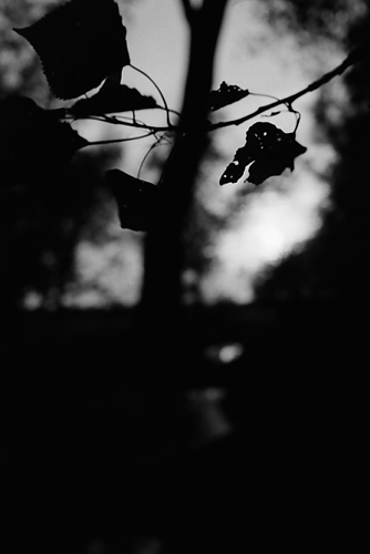 pictures of light