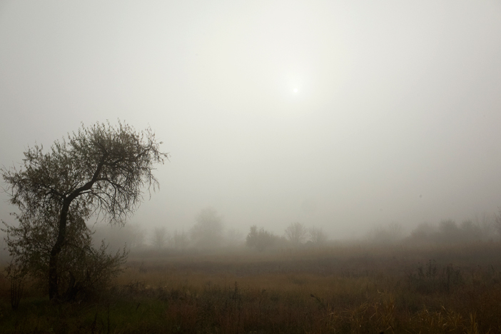 eastern-ukraine-autumn-2019